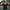 Promotion banner